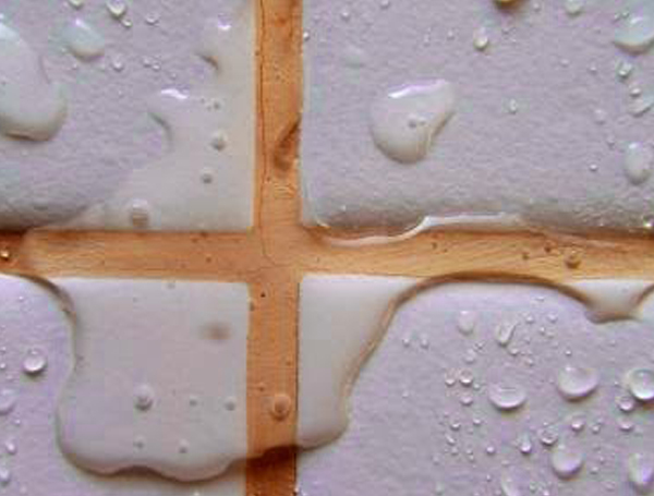 Lion L-Poxy Epoxy